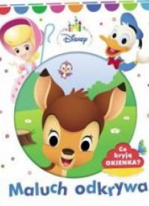 Disney. Maluch odkrywa. Co kryją okienka?