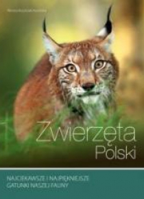 Zwierzęta Polski