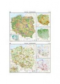 Mapa - Polska. Gospodarka - Przemysł i usługi NE