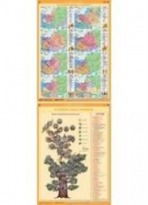 Mapa - Historia XII w. Polski w Europie / Drzewo