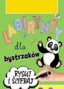 Labirynty dla bystrzaków 3-6 lat