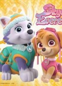 Puzzle 3x49 Psi Patrol Sky & Everest