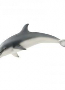 Delfin