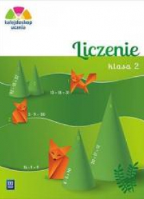 Kalejdoskop ucznia. Liczenie kl. 2 WSiP