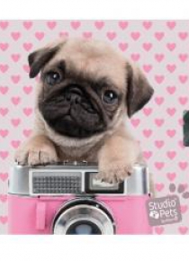 Pamiętnik z kłódką Studio Pets PEY-3640 PASO