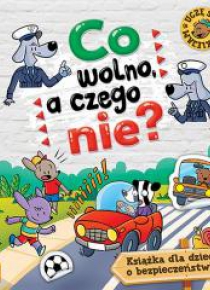 Co wolno, a czego nie. Książka o bezpieczeństwie