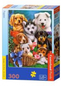 Puzzle 300 Puppies CASTOR