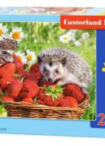 Puzzle 260 Strawberry Dessert CASTOR