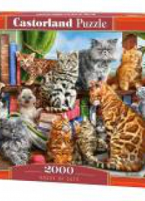 Puzzle 2000 House of Cats CASTOR