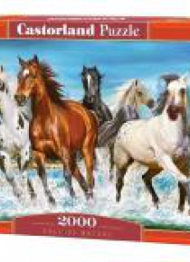 Puzzle 2000 Call of Nature CASTOR
