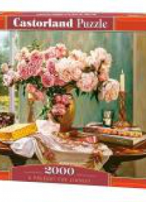 Puzzle 2000 A present for Lindsey CASTOR