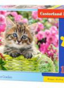 Puzzle 100 Kittens in Flower Garden CASTOR