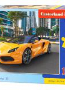 Puzzle 100 Arrinera Hussarya 33 CASTOR