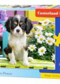 Puzzle 70 Spaniel in flowers CASTOR