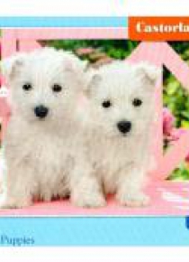 Puzzle 120 White Terrier Puppies CASTOR