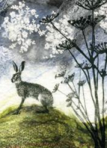 Karnet kwadrat z kopertą Hare and Hogweed