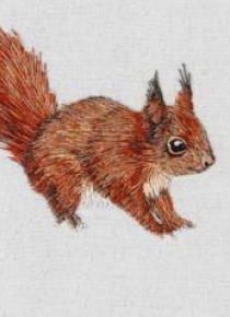 Karnet kwadrat z kopertą Red Squirrel