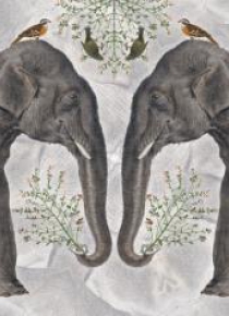 Karnet kwadrat z kopertą Indian Elephant