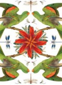 Karnet kwadrat z kopertą Red-winged Parrot
