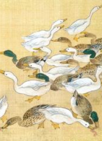 Karnet 17x14cm z kopertą Ducks feeding