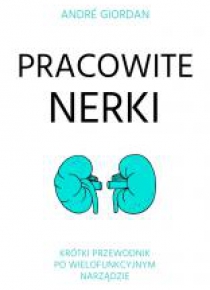 Pracowite nerki. Krótki przewodnik po wielofunkcyj