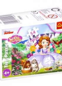 Puzzle 54 mini Magiczny świat księżniczki 3 TREFL