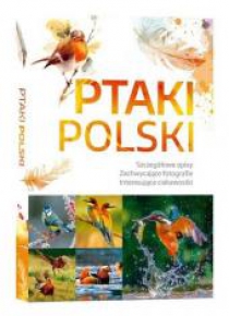 Ptaki Polski