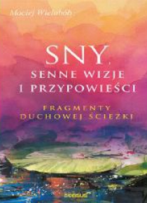 Sny, senne wizje i przypowieści. Fragmenty duchowe