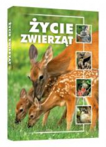 Życie zwierząt