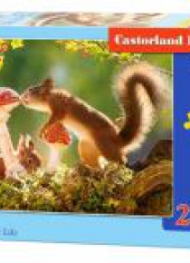 Puzzle 260 Squirrels Forest Life CASTOR