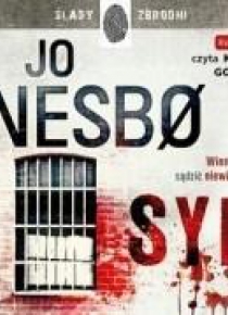 Syn audiobook w.2017