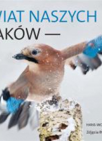 Świat naszych ptaków