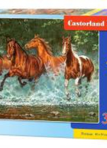 Puzzle 300 Cascade Run CASTOR