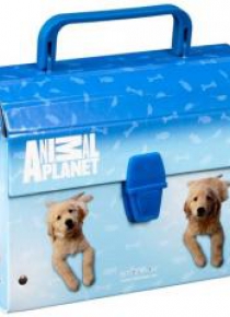 Kuferek z rączką Animal Planet Cute