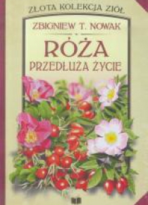 Róża. Przedłuża życie