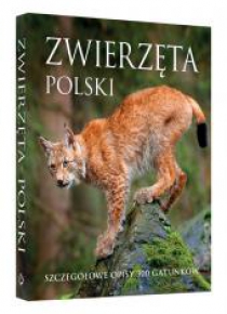 Zwierzęta Polski w.2018