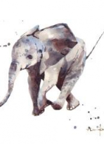 Karnet kwadrat mały z kopertą Hubert Elephant