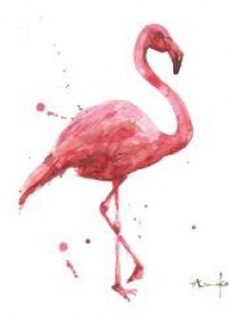 Karnet kwadrat mały z kopertą Flamingo Coral