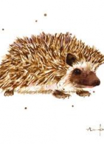 Karnet kwadrat mały z kopertą Prickly Paul