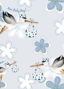 Karnet Swarovski kwadrat PF12 Narodziny bociany