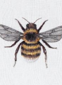 Karnet kwadrat z kopertą Bee