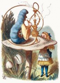 Karnet B6 z kopertą Alice Meets the Blue Caterpill