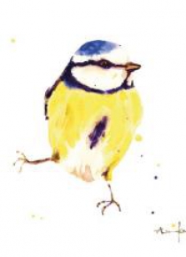 Karnet kwadrat mały z kopertą Blue Tit