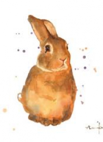 Karnet kwadrat mały z kopertą Benji Bunny