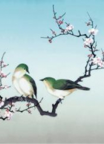 Karnet kwadrat z kopertą Plum Blossom Birds