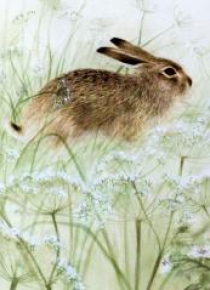 Karnet kwadrat z kopertą Rabbit
