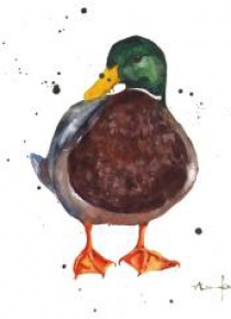 Karnet kwadrat mały z kopertą Mallard Chap