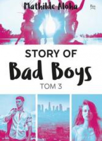Story of Bad Boys T.3