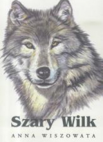 Szary wilk