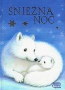 Śnieżna noc